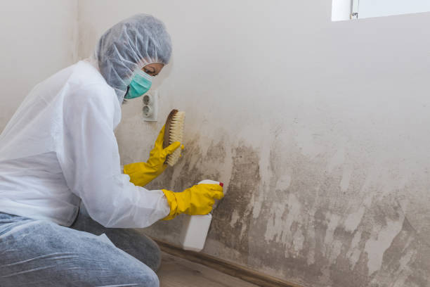 Best Post-Remediation Services in Crosby, TX