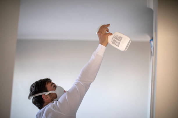 Best Insurance-Related Mold Remediation in Crosby, TX