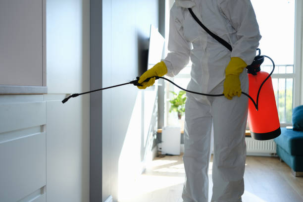 Best Mold Testing and Inspection Services in Crosby, TX