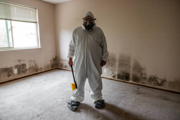 Best Crawl Space Mold Remediation in Crosby, TX
