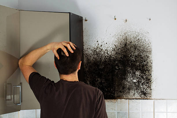 Best Industrial Mold Remediation in Crosby, TX